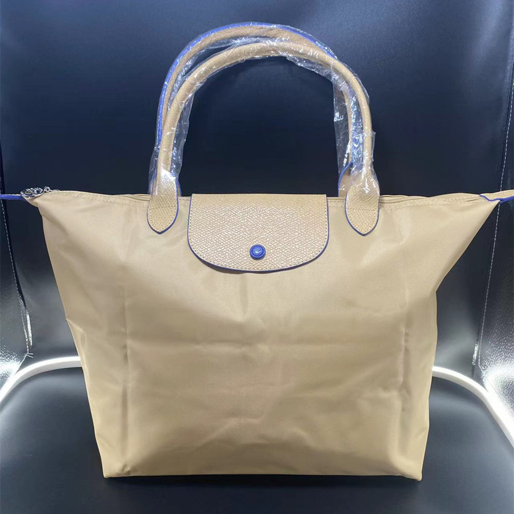 

New French Top Leather Longxiang Bag Women's Nylon Long Handle Dumpling Folding Tote Fashion multifunctional portable messenger small square bag, 25#mini style + original logo