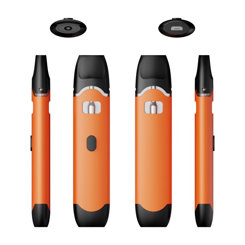 

Empty Disposable E Cigarette 2ML 2023 New Product Preheat Thick Oil Rechargeable Delta 8 Button Push Pre-heat Disposable Vapes With Micro USB Charging Port