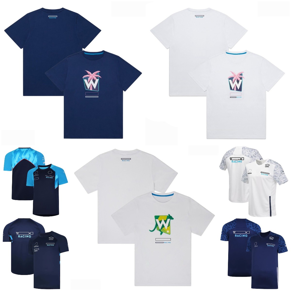 

F1 Formula One Racing Clothing 2023 New Team Driver T-shirt Men's Short Sleeve Quick-drying T-shirt Plus Size Customization