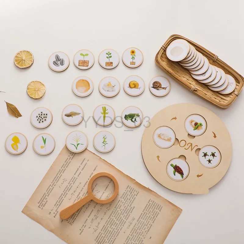 Baby Toy BabyWoodenMontessori Life Cycle Puzzle Board Block Baby Toy Rducational Toy Number Educational Training Toy Game Toy Productzln231223-image-931527467