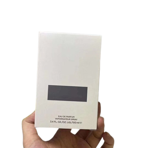 In Stock The highest version Beau de Jour MEN perfume 100ml high quality good smell long lasting time