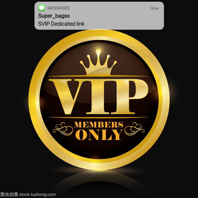 

VIP Payment Link Bag exclusive links VIP002