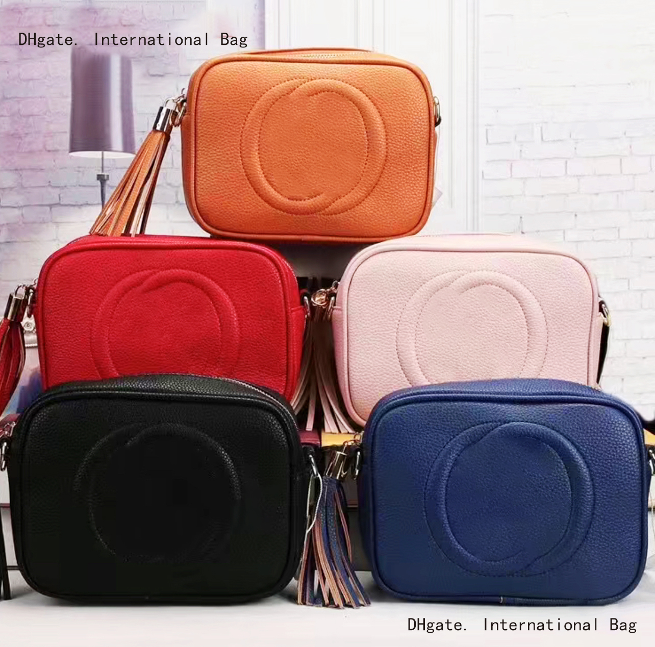 

Designer Leather Camera Bag with Embossed Logo Tassel Pendant and Gold Metal Zipper Classic Style One Shoulder Crossbody Bag Wallet on Chain and Tote Bag, 26