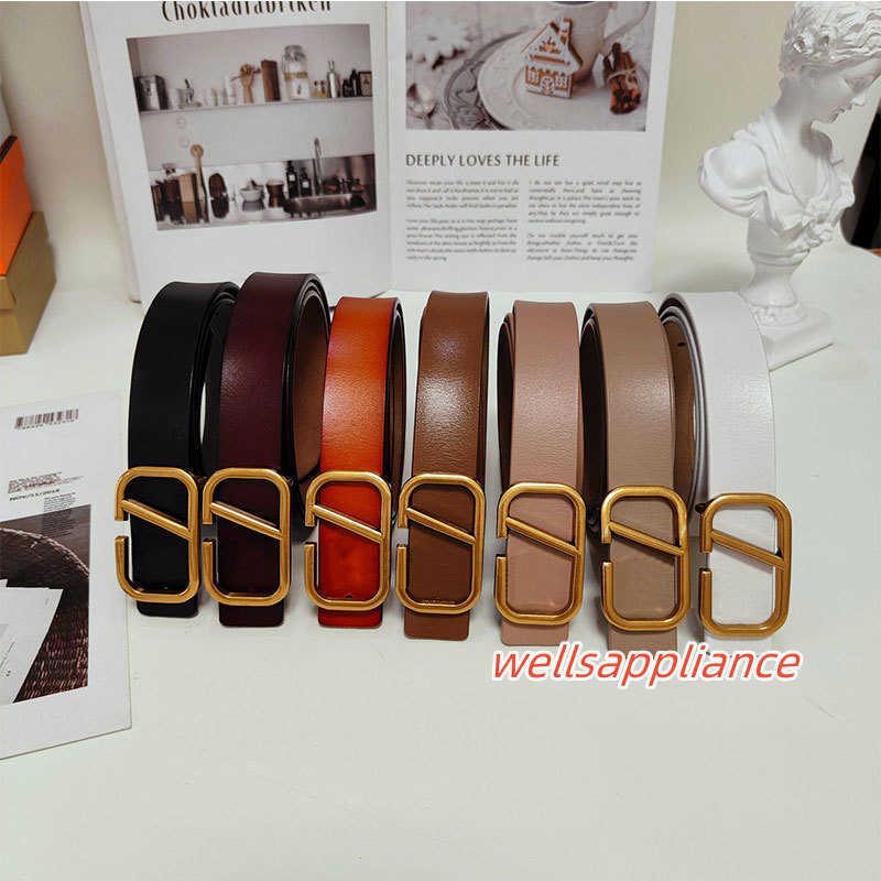 

Classic solid color Gold letter mens Valentinoity belts for women designers Luxury designer belt Vintage Pin needle Buckle Beltss 7 colors Width 3 cm size 95-115, Black