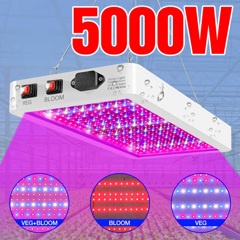 Grow Lights Full Spectrum 220V Phytolamp LED Indoor Grow Light Bulb Hydroponics Lamp For Plants Seedlings LED Panel Greenhouse Growth Tent P23041-image-858540002