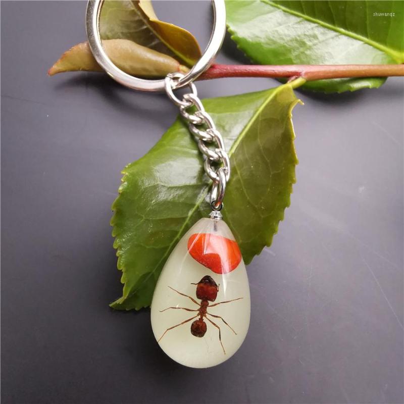 

Keychains Unique Luminous Insect Resin Crystal Waterdrop Keychain Ant Scorpion Silver Color Key Chain Souvenir Gifts For Man Wallet