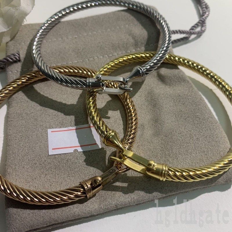 

Party love bracelets designer for women bracelet alloys helix nice big female bangles dy plated golden cables twists accessories cuff bracelets lucky ZB026 F23