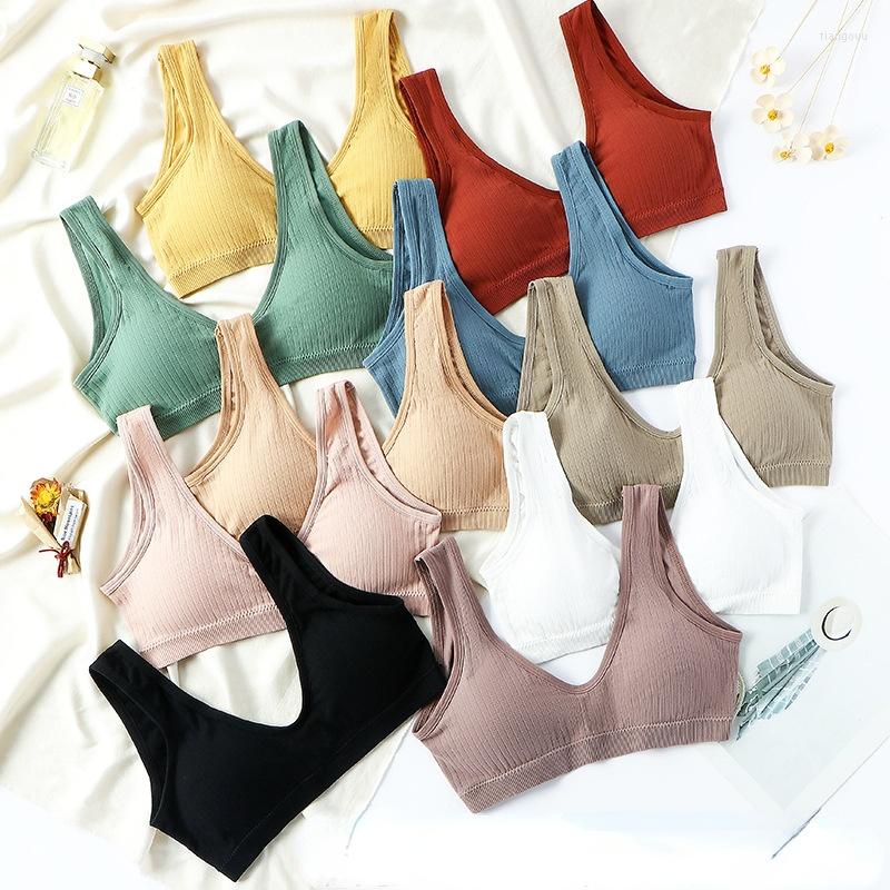 

Bras 10 Colors Sexy Push Up Active Bra Underwear Women Seamless Tube Top Solid Lingerie Sport For Sujetadores Para Mujeres, Caramel