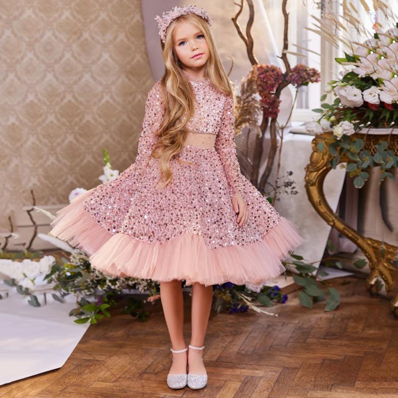 

Girl Dresses Pink A-Line Flower Gril Dress Beading Sequined Long Sleeve Tulle Cute Kid Birthday Knee-Length First Communion Gown, Gold