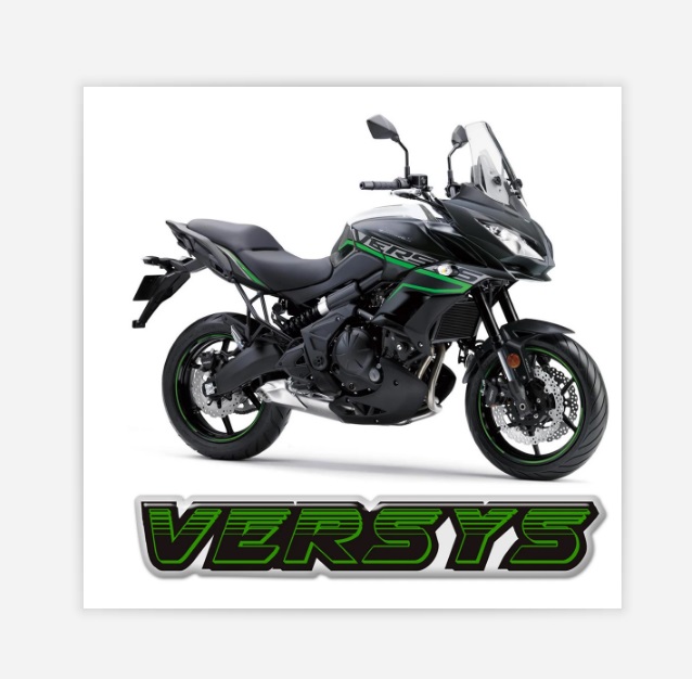 

Motorcycle Stickers For Kawasaki VERSYS 300 400 650 1000 X300 Tank Pad Adventure Side Panel Protector Fairing Decal Emblem Logo, Green
