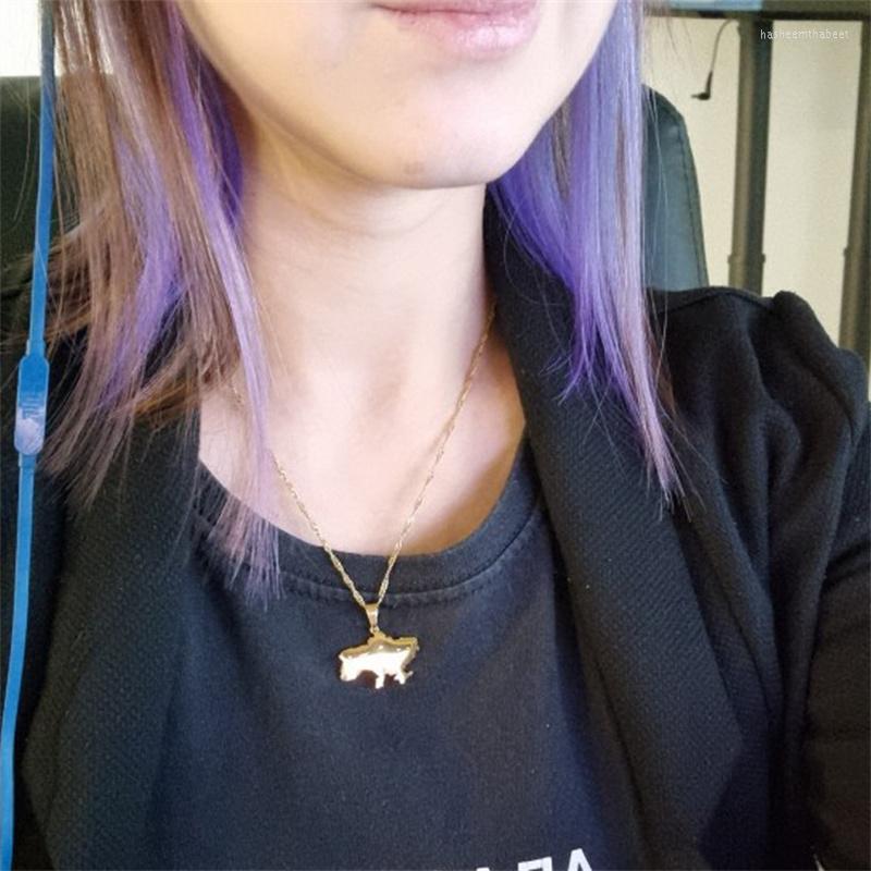 

Pendant Necklaces Europe And The United States Stainless Steel Ukrainian Map Necklace