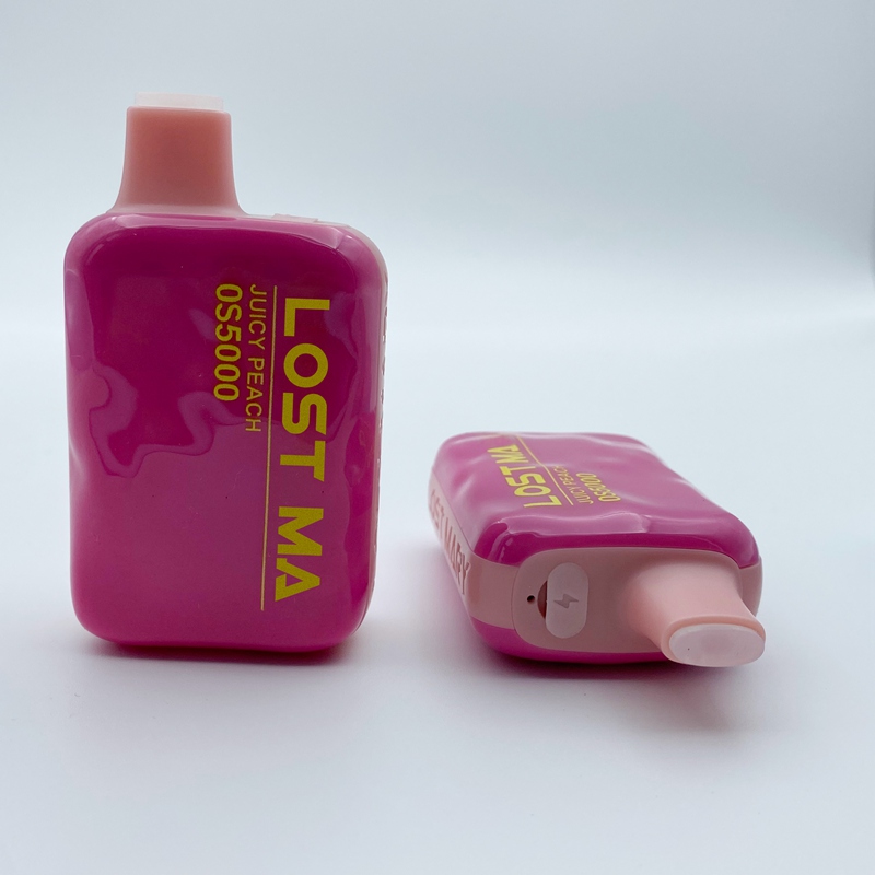 

Chinese Brand Lost Mary Rechargeable Disposable Vapes