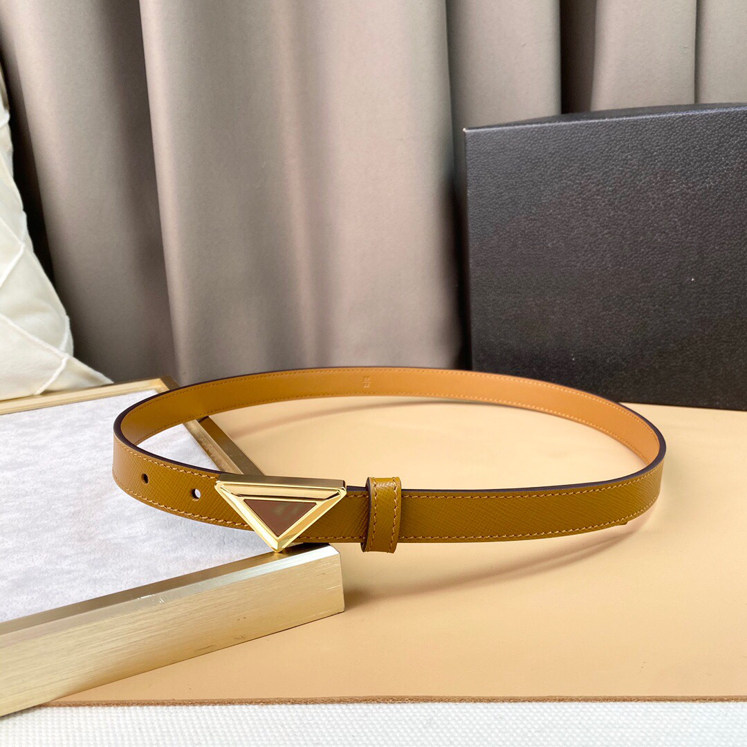 

belt woman belt for woman designer womens belt Gold Silver Letters Geometric buckle Women Genuine Leather 2.5cm width Black coffee Casual waistband designer belt, Free box picking
