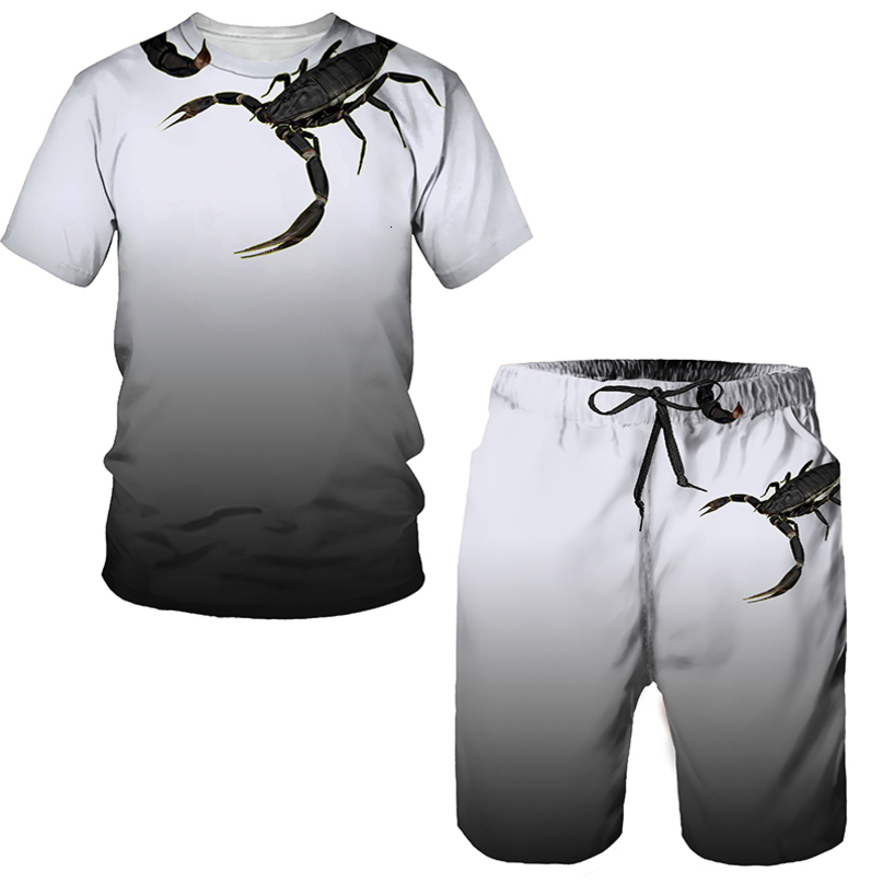 

Men's Tracksuits Summer Oversized Men's Sportwear Suit 3D Scorpion Print T-ShirtShorts Casual Wear Fitness Sports 2pc Sets Men's Tracksuit 230419, Only one shorts -a