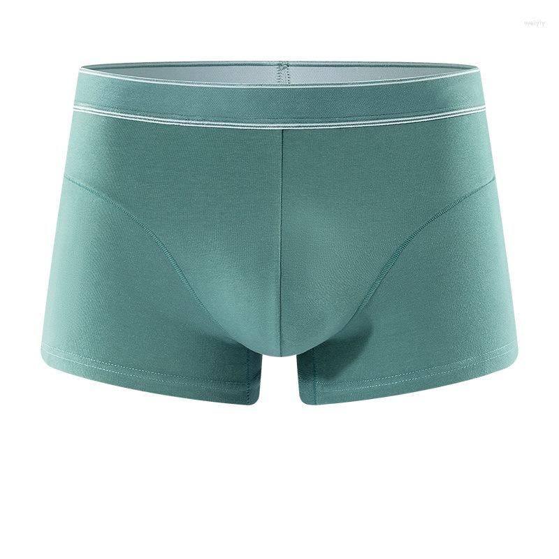 

Underpants Man Ice Silk Men Underwear Boxer Shorts Seamless Design Men's Boxers Fashionable For Sexy Mens Panties 3PCS