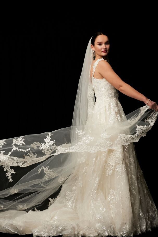 

David Bride Cathedral Veil Sequin Lace Inlaid ivory