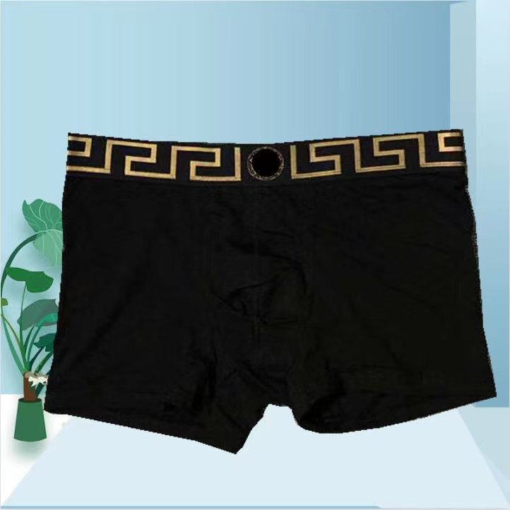 

2023 Mens boxer briefs Underwear underpants designer underwears boxers luxury V France brand mans conton fashion 7 colors Asian size N1