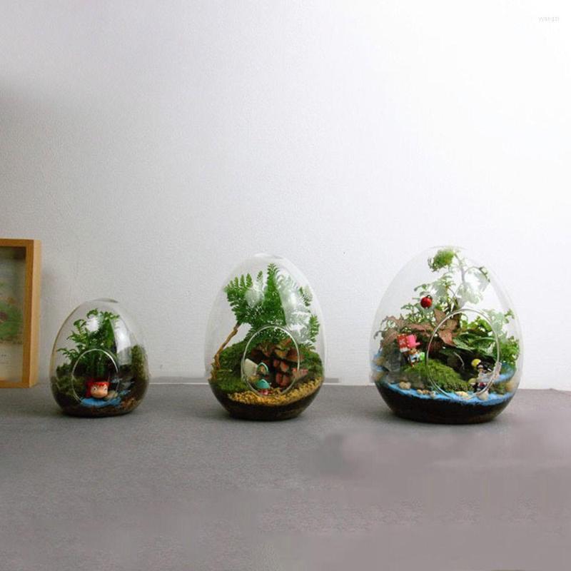 

Vases Creative Egg-shaped Glass Bottles Succulent Vase Hydroponic Fleshy Micro Landscape Terrarium Moss Home Decoration