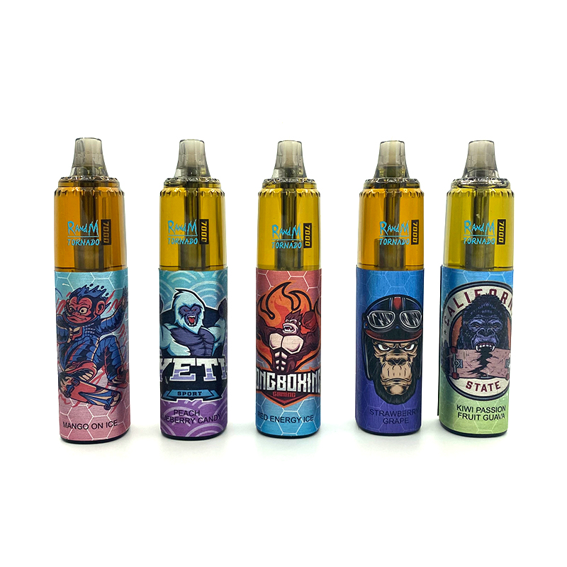 

RandM Tornado Puff 7000 Disposable Vapes With Type C Charging Port