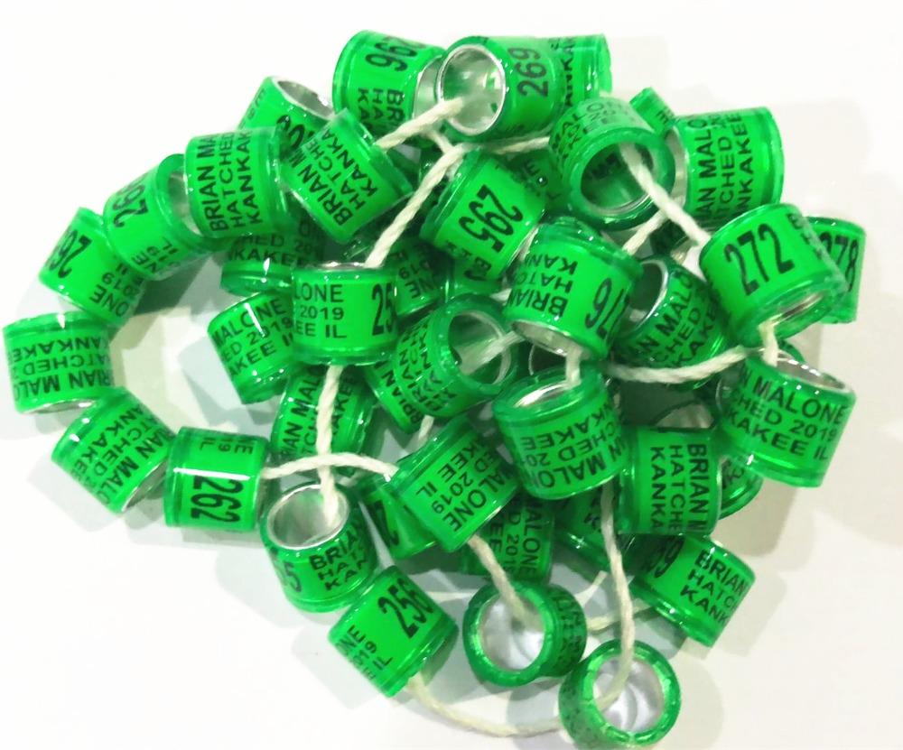 

Supplies colorful 100pcs free shipping high quality customed customized birds pigeon leg foot rings ring for pigeon bands