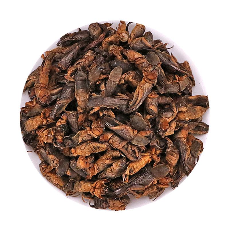 

Supplies Natural Big Dried Mole Crickets 100% Pure Bake Whole Wild Dehydrated Mole Cricket For Sale