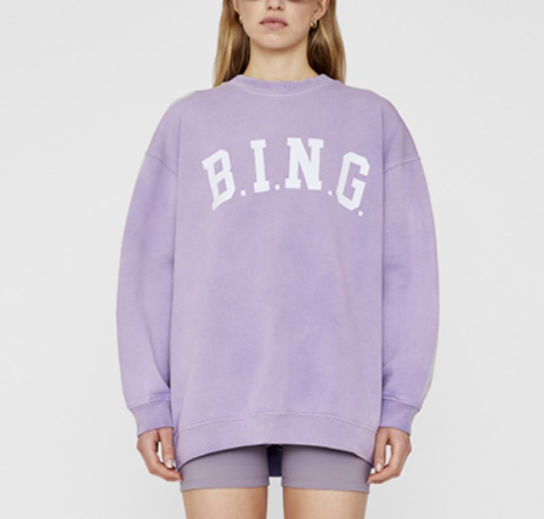 

23ss AB Designer Sweatshirt Fashion Loose Pullover Sweatshirt Women Casual Letter-printed BING Long-sleeved Sweater, Purple (shipped in mid-february