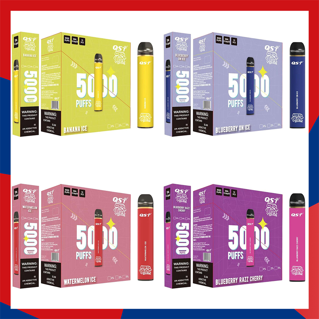 

Authentic QST Filex Max Disposable E cigarettes 5000 Puffs Vape Pen 12ml Prefilled Pods Cartridge 850mAh Rechargeable Battery Vaporizer bar flex bang flavour