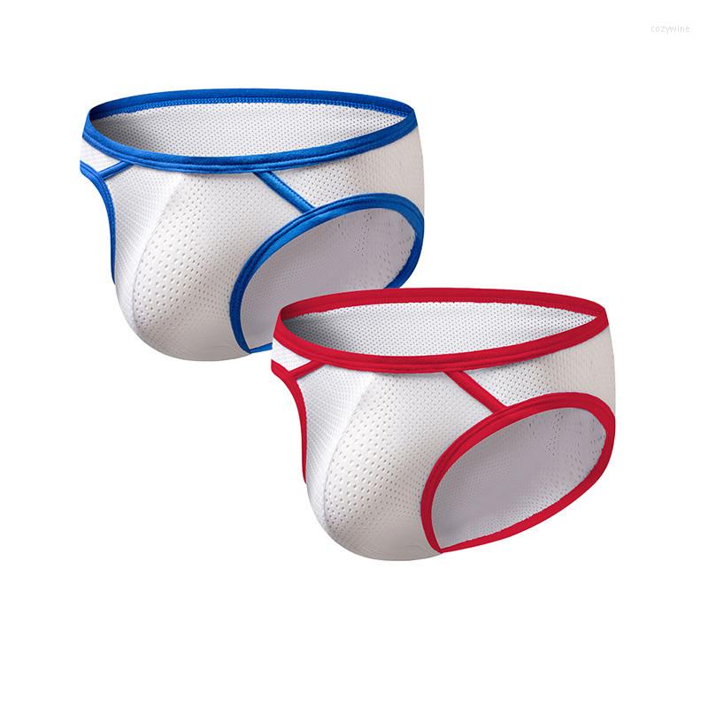 

Underpants 2PCS/Lot Sexy Men Underwear Brief Tanga Male Briefs Soft Mesh Slip Comfortable Breathable, 2pcs blue