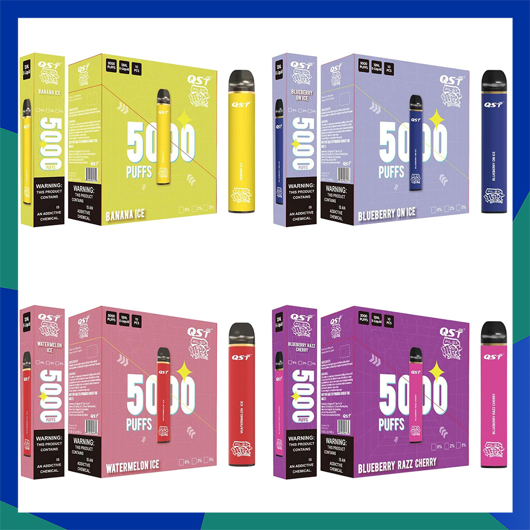 

Authentic QST Filex Max Disposable E cigarettes 5000 Puffs Vape Pen 12ml Prefilled Pods Cartridge 850mAh Rechargeable Battery Vaporizer bar flex bang flavour