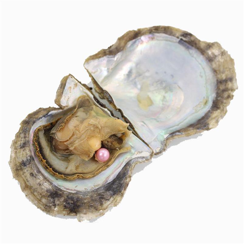 

Pearl 78Mm Pink Color Oysters Natural Akoya Oyster Skittle Pearls Colorf Round Beads For Jewelry Making 50Pcs/Lot Zz001 Drop Delivery Dhu1N