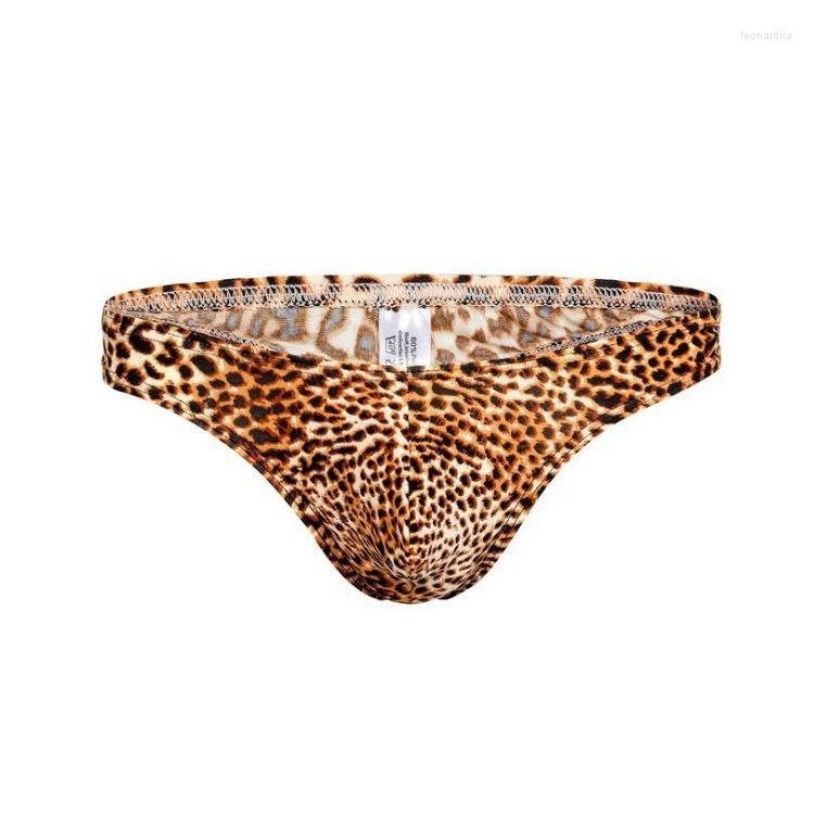 

Underpants Sexy Lingerie Male Underwear Mens Mesh Leopard Briefs Breathable For Gay Fashion Men Sissy Panties, 02