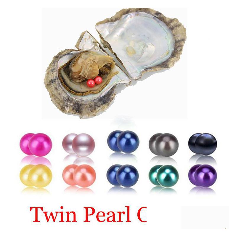 

Pearl Akoya Oyster 67Mm Round Twins In Oysters Shell With Colouf Pearls Jewelry By Vacuum Packed Gift Surp Dhs8V