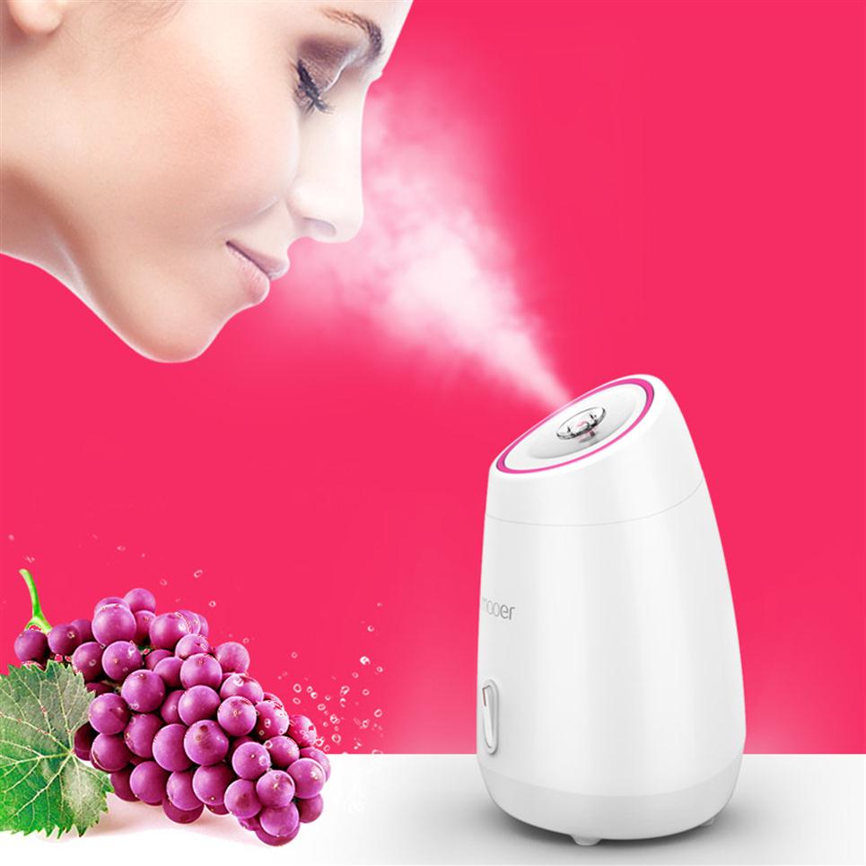 

Fruit Vegetable Facial Face Steamer Household Spa Beauty Instrument Spray Water Meter Face Humidification Beauty Tool281o