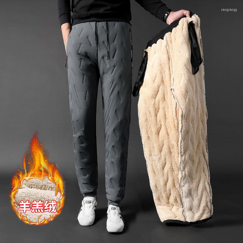 

Men's Pants For Men Winter Fur Lined Plus Size Waterproof Outdoor Windproof Thicken Warm Trousers Sweatpants Elastic Waist, Black