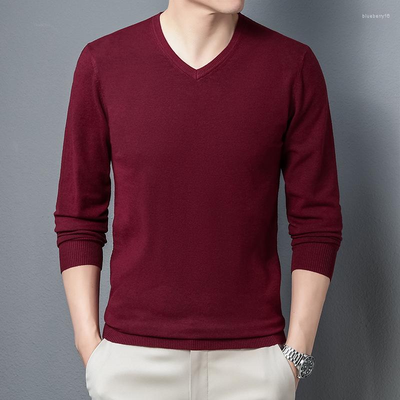 

Men's Sweaters Men's V-Neck Knitted Sweater Thin Comfortable Elastic Slim Simple Warm Casual Pullover Wool Cashmere Male, Color 3