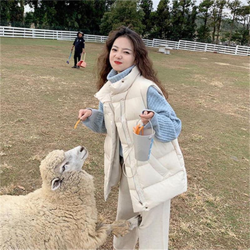 

Women' Vests 2023 Down Padded Jacket Women' Short Autumn And Winter Loose All-Match Vest Waistcoat Ladies H871, Black