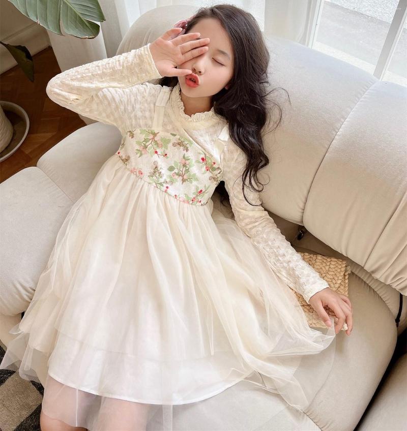 

Girl Dresses Kids Clothes Autumn Girls Vintage Flower Embroidered Dress Mesh Panel Long Sleeve, Picture shown