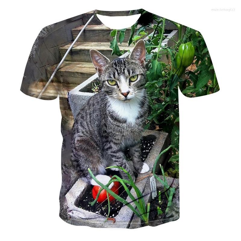 

Men's T Shirts 3D Print Dry Short Sleeve Casual T-shirt In 2023 Summer