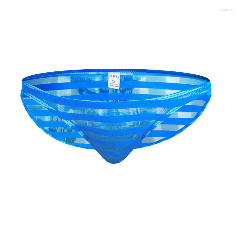 

Underpants Men's Underwear Briefs Mesh Transparent Stripe Sexy Bikini Men Under Wear Sissy Panties, Color-2