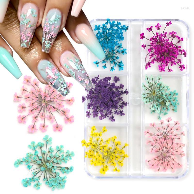 

Nail Art Decorations Dried Flowers For Nails Natural Floral Sticker Mixed Dry Flower DIY Decals Jewelry UV Gel Manicure Accessories
