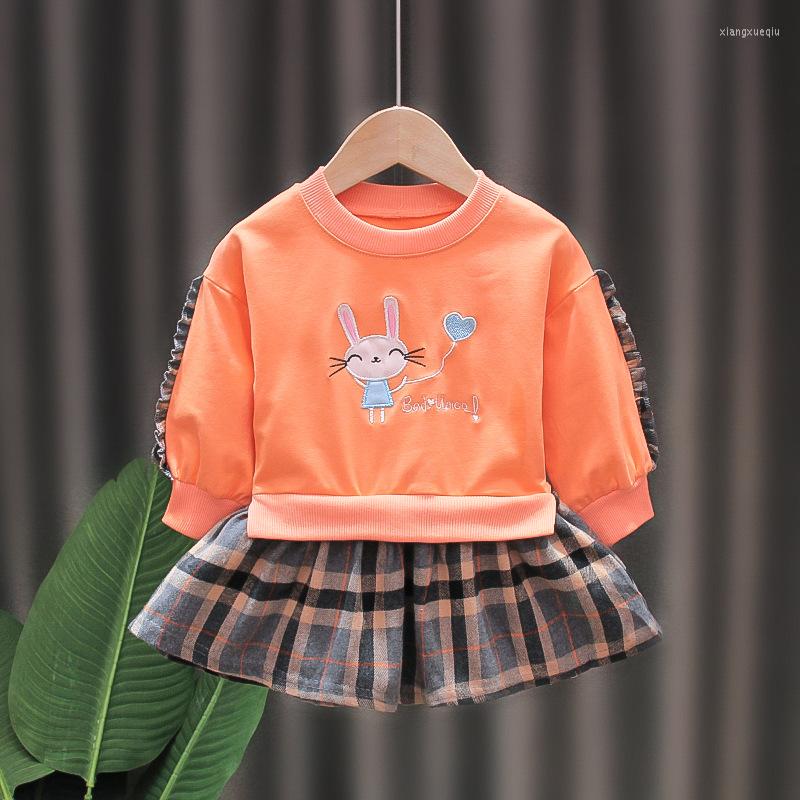 

Girl Dresses Baby Dress Cotton Cute Cartoon Embroidery Long Sleeve Fake Two Piece Sweater Skirt Clothes Fashion Girls
