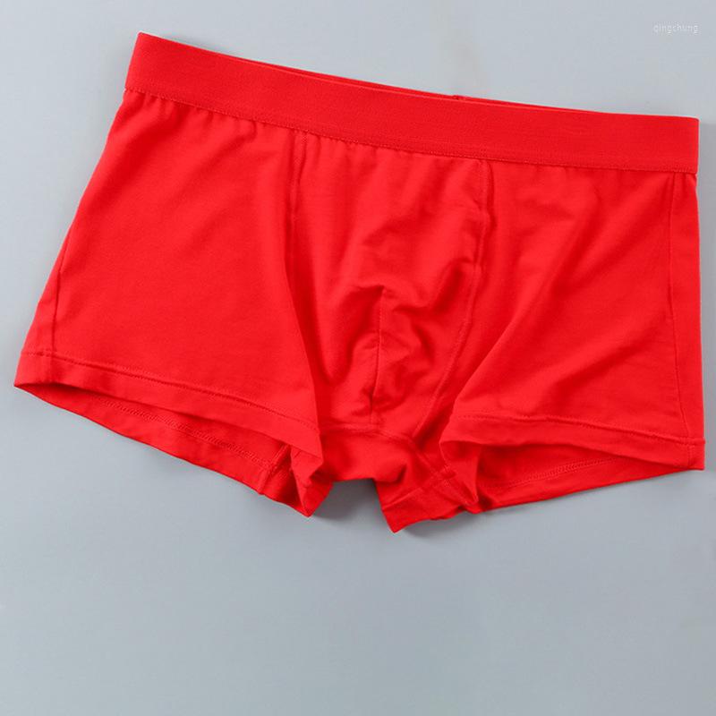 

Underpants Men Bright Red Knicker Bamboo Fabric Year Of Fate Four Corners Boxer Underpant MEN'S Underwear Manufacturers Wholes