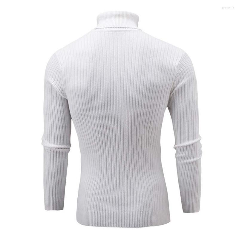 

Women's Sweaters Winter Men Slim Warm Knit High Neck Pullover Jumper Sweater Turtleneck Top Felted Wool Cardigan, White