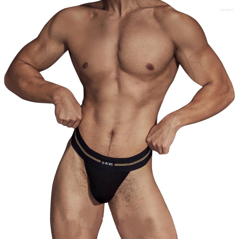 

Underpants ORLVS Sexy Briefs Men Modal Gay Underwear Man Mens Underware Close Fit Soft Cuecas Masculinas 3 Colors OR6109, Or6103-black