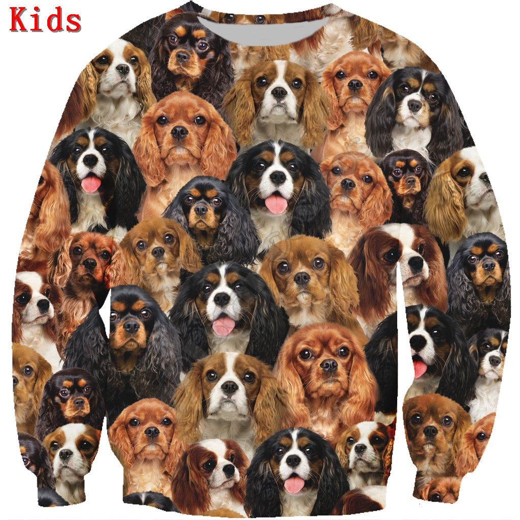 

Clothing Sets You Will Have A Bunch Of Cavalier King Charles Spaniels printed Hoodies Boy Girl Long Sleeve Shirts Kids Funny Animal Sweatshirt 230220