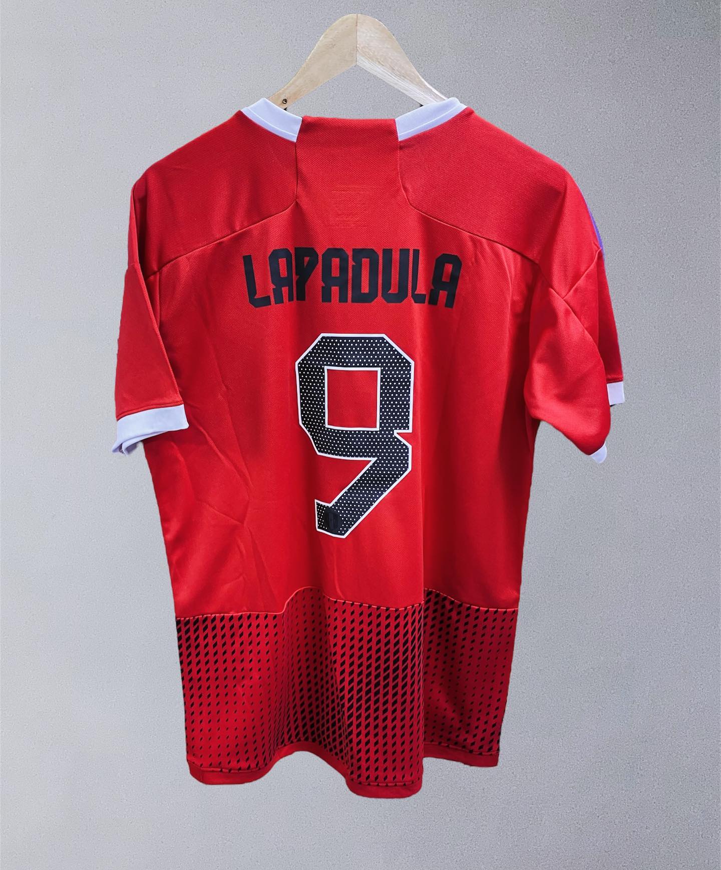 

2023 2024 Peru Soccer Jerseys LAPADULA LUIS LBERICO PINEAU CUEVAS CARTAGENA TAPIA VALERA AQUINO national team 23 24 football shirts home white away red, 2023 home