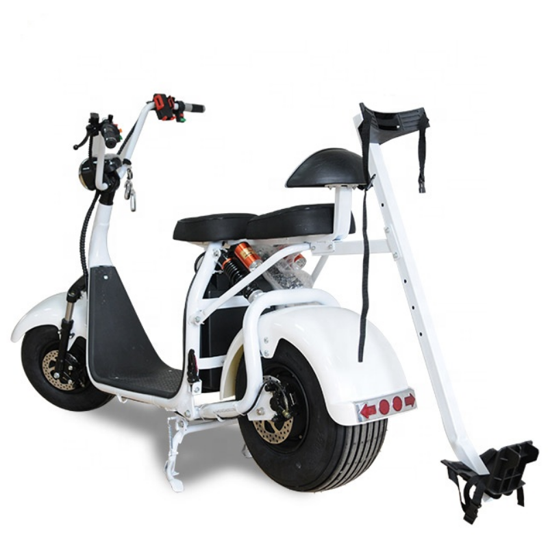 

Fashional golf holder citycoco electric scooter for lady