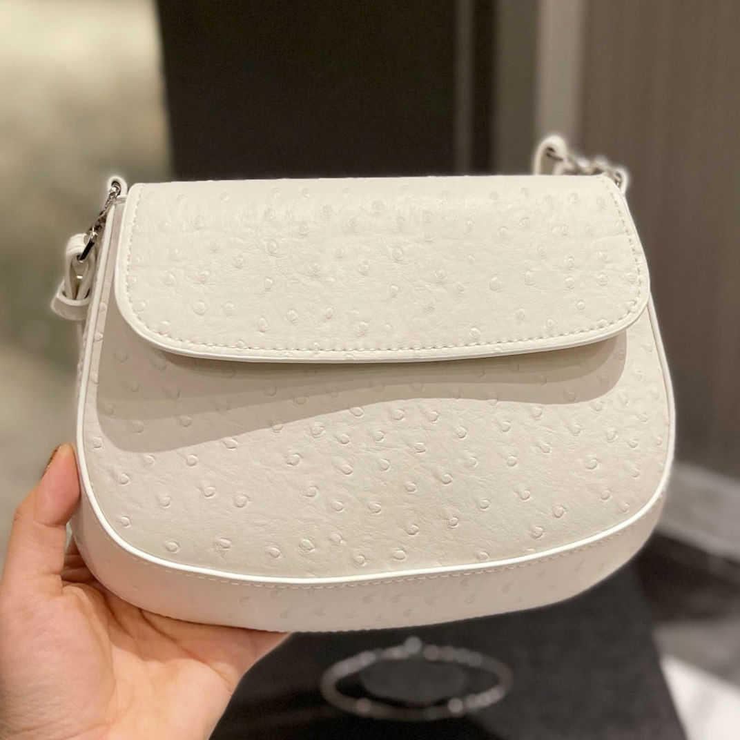 

Luxury Brand Designer Bags Handbag Shoulder Crossbody Bag Tote bag New Pujia Underarm size 23cm Fashionable Women's Multi-color Optional Factory Direct Sale, Plain grey