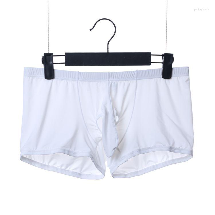 

Underpants Sexy Gay Underwear Men Boxers Shorts Cool Ice Silk Low Waist Panties Elephant Nose Cuecas Calzoncillos -XXL, White