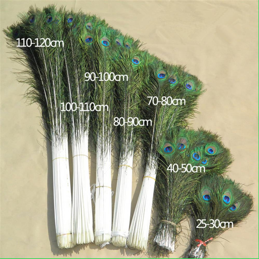 

100pcs high quality Whole 10pcs Beautiful Natural Real Peacock Tail Eyes Feathers Full Size 25-100cm 10-40inches206S